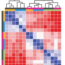 Graphic of a large RNAseq data set to illustrate correlations between groups